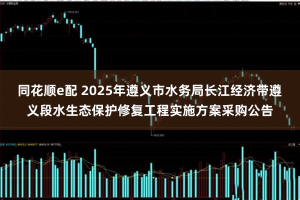 同花顺e配 2025年遵义市水务局长江经济带遵义段水生态保护修复工程实施方案采购公告