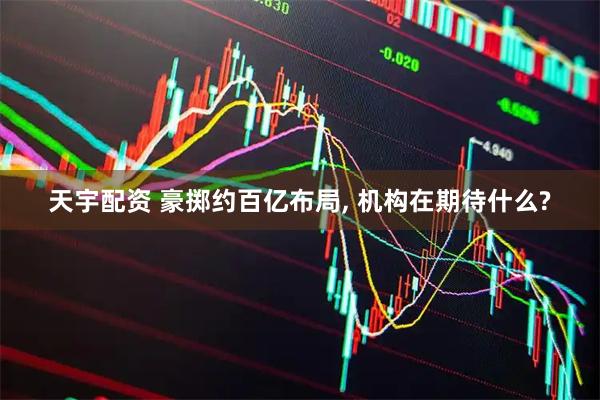 天宇配资 豪掷约百亿布局, 机构在期待什么?