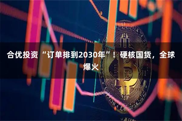 合优投资 “订单排到2030年”！硬核国货，全球爆火