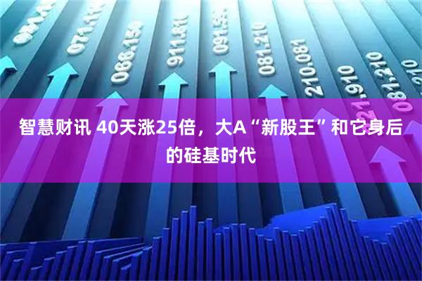 智慧财讯 40天涨25倍，大A“新股王”和它身后的硅基时代