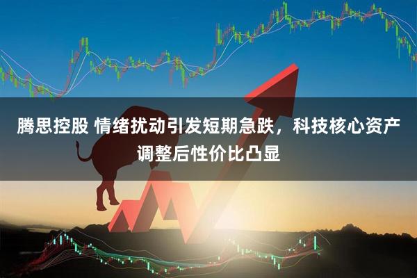 腾思控股 情绪扰动引发短期急跌，科技核心资产调整后性价比凸显
