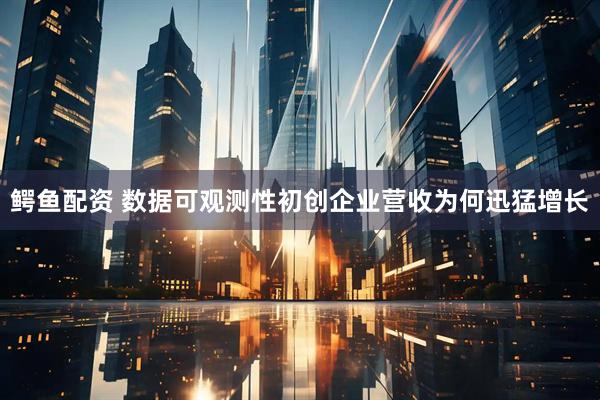 鳄鱼配资 数据可观测性初创企业营收为何迅猛增长